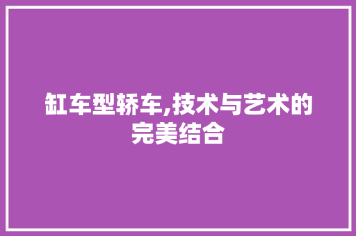 缸车型轿车,技术与艺术的完美结合