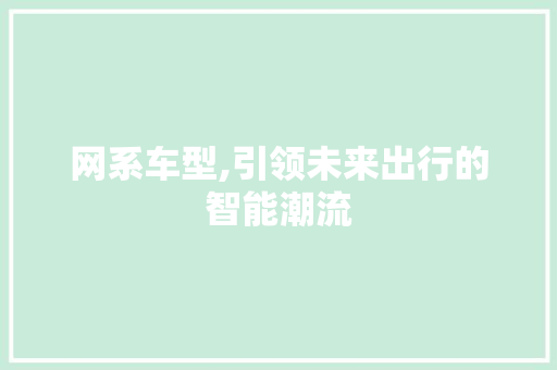 网系车型,引领未来出行的智能潮流