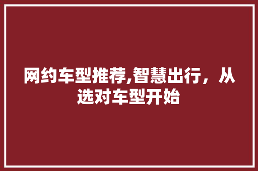 网约车型推荐,智慧出行，从选对车型开始