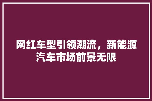 网红车型引领潮流，新能源汽车市场前景无限