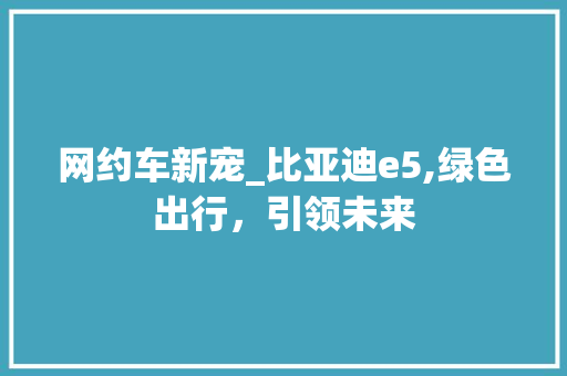 网约车新宠_比亚迪e5,绿色出行，引领未来