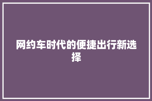 网约车时代的便捷出行新选择