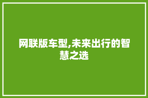 网联版车型,未来出行的智慧之选