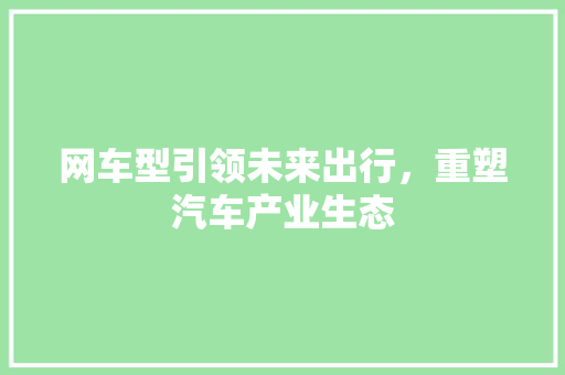 网车型引领未来出行，重塑汽车产业生态