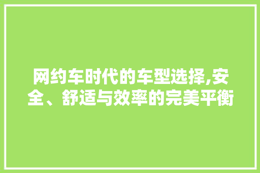 网约车时代的车型选择,安全、舒适与效率的完美平衡