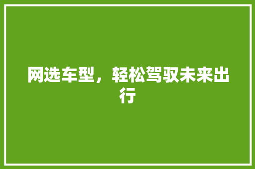 网选车型，轻松驾驭未来出行