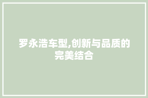 罗永浩车型,创新与品质的完美结合