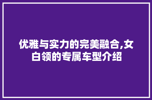 优雅与实力的完美融合,女白领的专属车型介绍 底盘配件