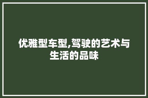 优雅型车型,驾驶的艺术与生活的品味