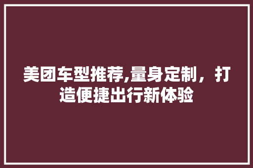美团车型推荐,量身定制，打造便捷出行新体验