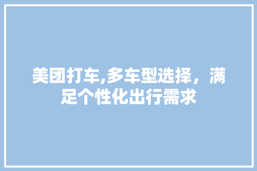 美团打车,多车型选择，满足个性化出行需求