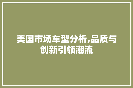 美国市场车型分析,品质与创新引领潮流