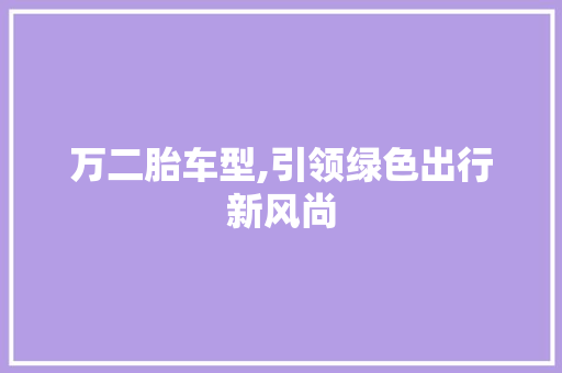 万二胎车型,引领绿色出行新风尚