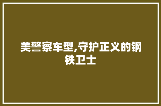 美警察车型,守护正义的钢铁卫士