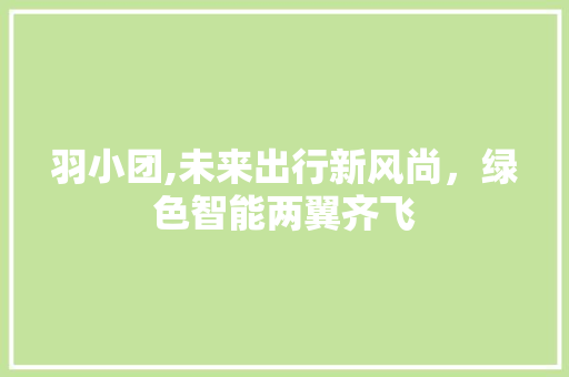 羽小团,未来出行新风尚，绿色智能两翼齐飞