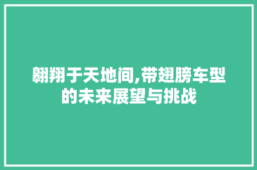 翱翔于天地间,带翅膀车型的未来展望与挑战 汽车配件