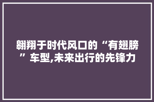 翱翔于时代风口的“有翅膀”车型,未来出行的先锋力量 车身配件