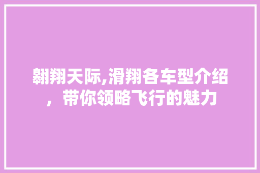 翱翔天际,滑翔各车型介绍，带你领略飞行的魅力