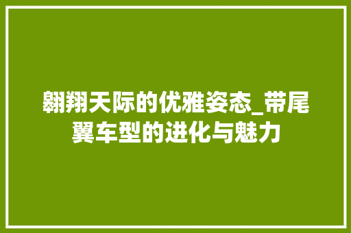 翱翔天际的优雅姿态_带尾翼车型的进化与魅力