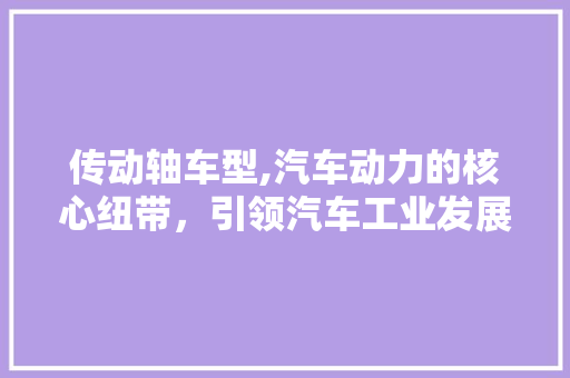 传动轴车型,汽车动力的核心纽带，引领汽车工业发展新篇章 新能源汽车