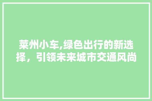 莱州小车,绿色出行的新选择，引领未来城市交通风尚