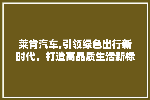 莱肯汽车,引领绿色出行新时代，打造高品质生活新标杆
