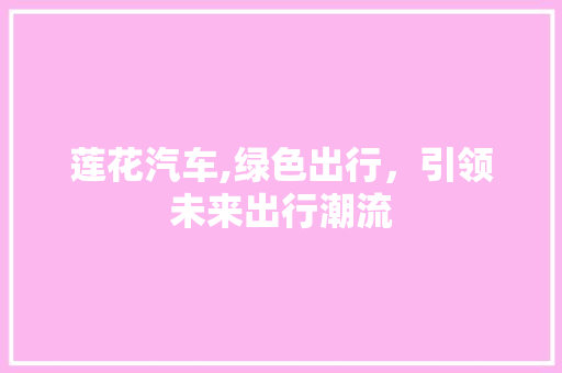 莲花汽车,绿色出行，引领未来出行潮流