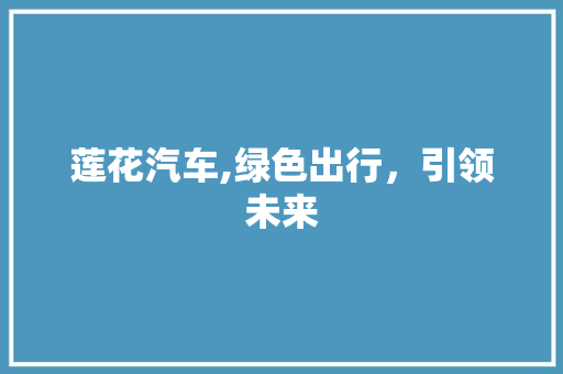 莲花汽车,绿色出行，引领未来
