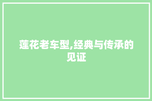 莲花老车型,经典与传承的见证