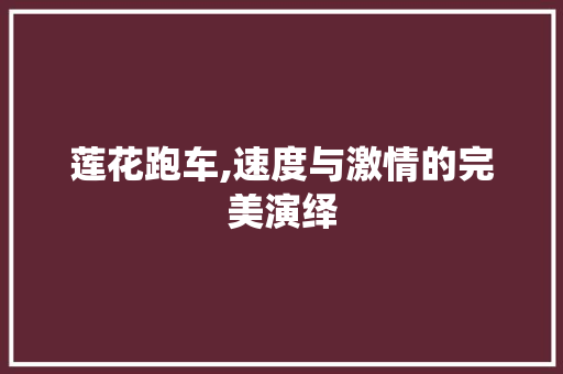 莲花跑车,速度与激情的完美演绎