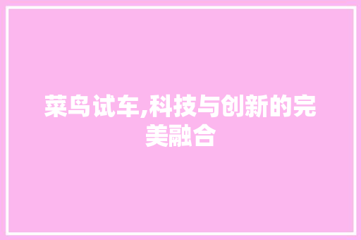 菜鸟试车,科技与创新的完美融合