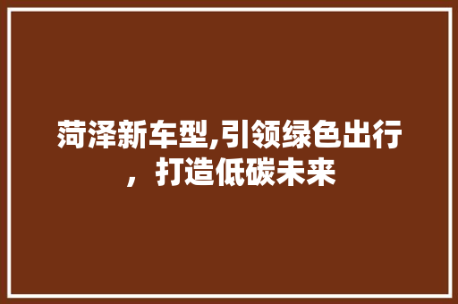 菏泽新车型,引领绿色出行，打造低碳未来