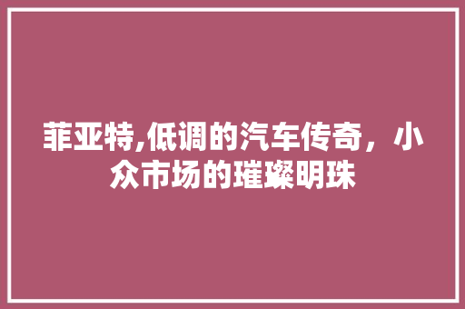菲亚特,低调的汽车传奇，小众市场的璀璨明珠