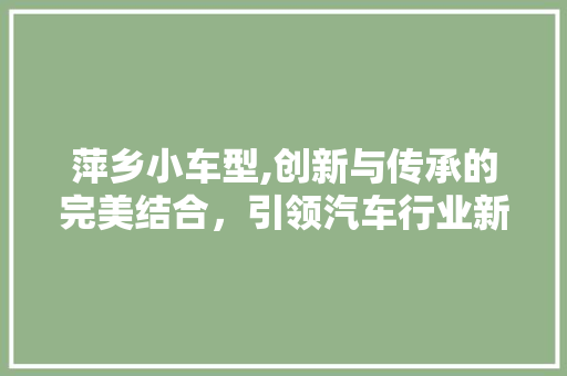 萍乡小车型,创新与传承的完美结合，引领汽车行业新潮流
