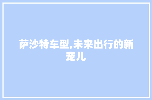 萨沙特车型,未来出行的新宠儿