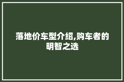 落地价车型介绍,购车者的明智之选