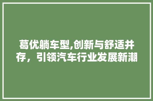 葛优躺车型,创新与舒适并存，引领汽车行业发展新潮流
