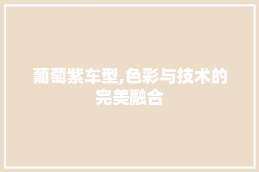 葡萄紫车型,色彩与技术的完美融合