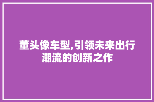 董头像车型,引领未来出行潮流的创新之作