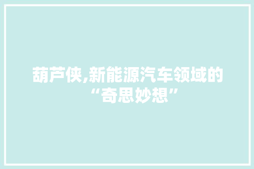 葫芦侠,新能源汽车领域的“奇思妙想”