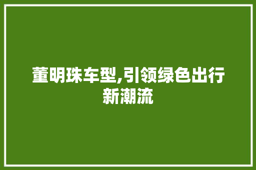 董明珠车型,引领绿色出行新潮流