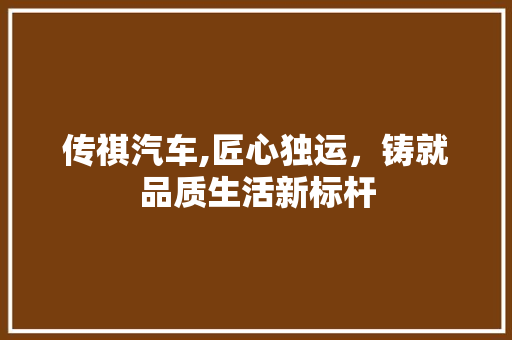 传祺汽车,匠心独运，铸就品质生活新标杆