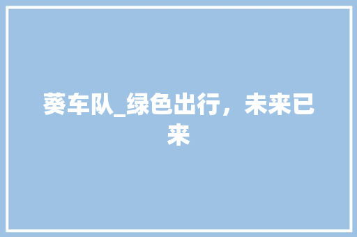 葵车队_绿色出行，未来已来