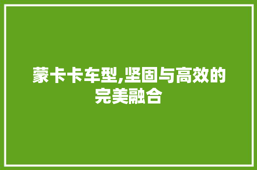 蒙卡卡车型,坚固与高效的完美融合