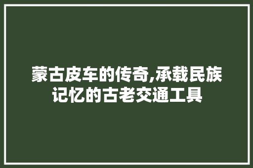 蒙古皮车的传奇,承载民族记忆的古老交通工具