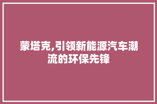 蒙塔克,引领新能源汽车潮流的环保先锋