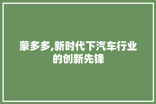 蒙多多,新时代下汽车行业的创新先锋