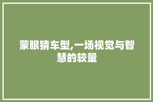 蒙眼猜车型,一场视觉与智慧的较量