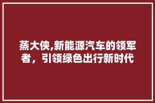 蒸大侠,新能源汽车的领军者，引领绿色出行新时代