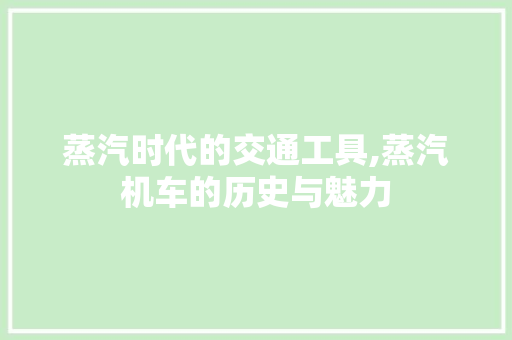 蒸汽时代的交通工具,蒸汽机车的历史与魅力